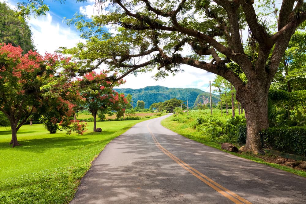 pinar del rio shutterstock 86184460